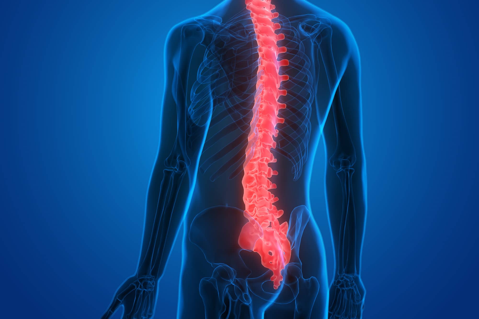 Spinal Wire Harm Remedy and Rehabilitation in america