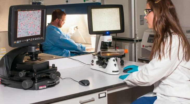 Eye Most cancers Remedy