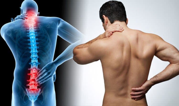 App to Screen for Low Back Pain Contributors Well-Received by means of Older Adults
